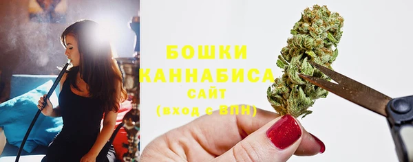 гидра Армянск