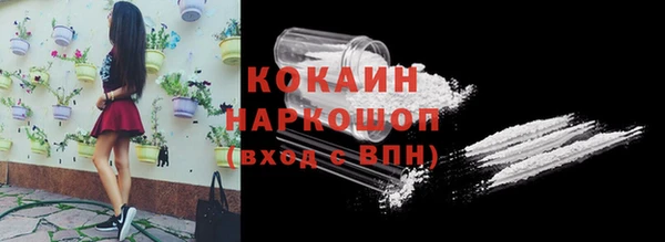 гидра Армянск