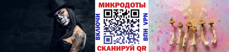 Псилоцибиновые грибы прущие грибы  hydra зеркало  Городовиковск  как найти закладки 