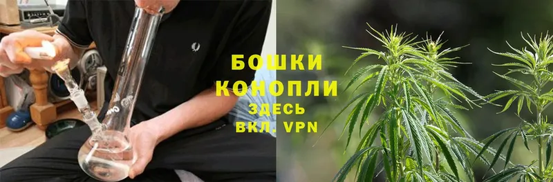 omg tor  Городовиковск  Бошки марихуана White Widow  наркота 